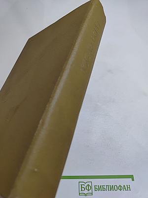 Пятнадцатилетний капитан