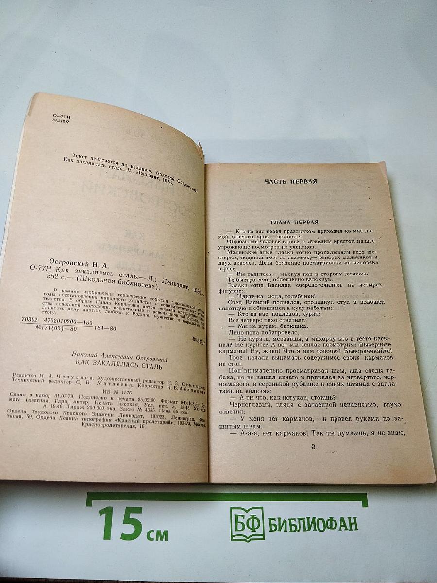 Как закалялась сталь