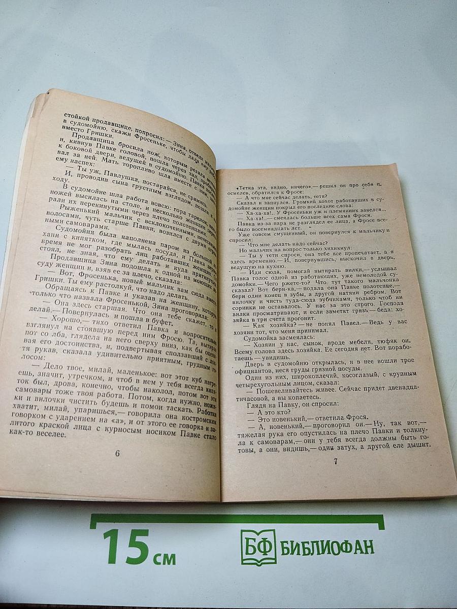 Как закалялась сталь