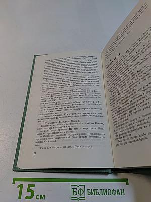 Собрание сочинений. Том четвертый. Повести