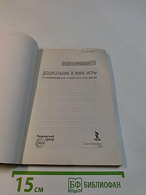 Дошкольник в мире игры. Сопровождение сюжетных игр детей