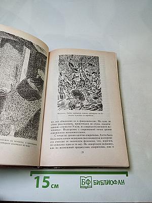 Духи и медиумы