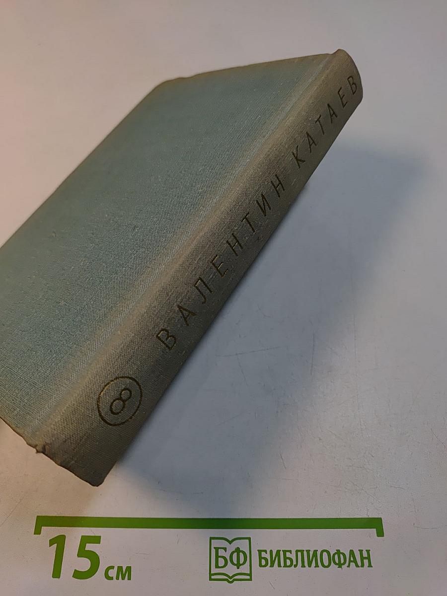 Собрание сочинений. Том восьмой. Почти дневник (заметки, очерки), литературные портреты, заметки, воспоминания