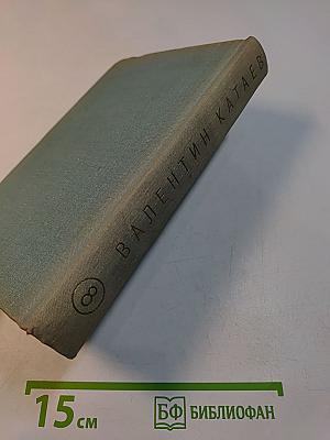 Собрание сочинений. Том восьмой. Почти дневник (заметки, очерки), литературные портреты, заметки, воспоминания