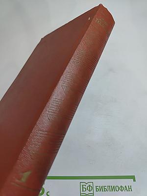 Собрание сочинений. Том первый: Повести и рассказы. Чудаки