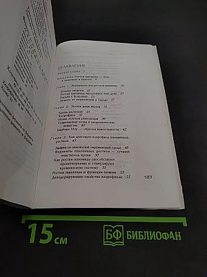 Пшеничные ростки на вашем столе
