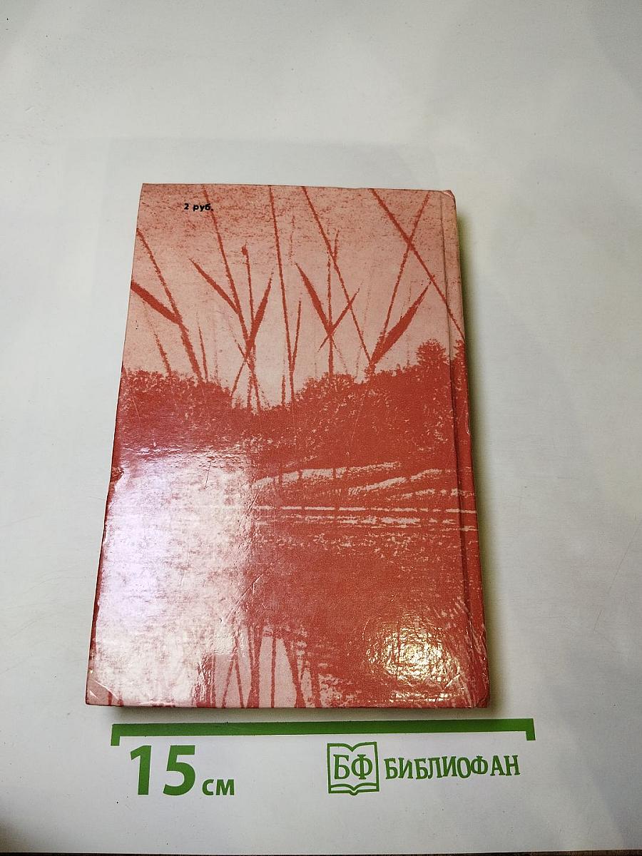 Сочинения: Поэмы, повести и рассказы. Из литературных и житейских воспоминаний