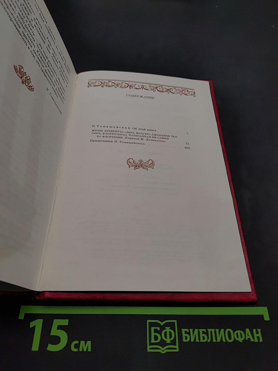 Жизнь Бенвенуто Челлини, сына Джованни, флорентинца, написанная им самим во Флоренции