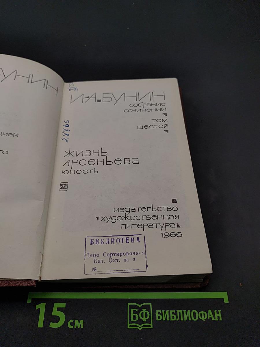 Жизнь Арсеньева