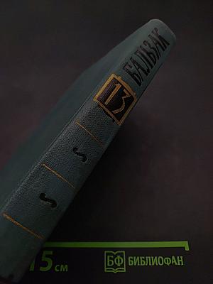 Человеческая комедия. Том 13