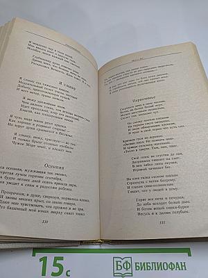 Светлый час: стихотворения и переводы из пятидесяти книг