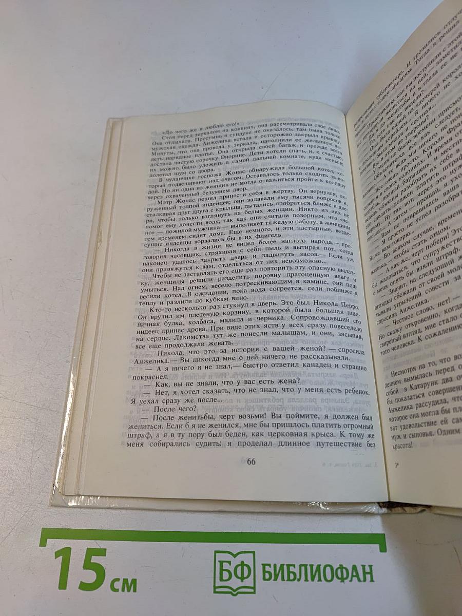 Анжелика в новом свете. Книга 6