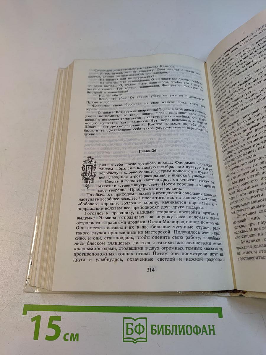 Анжелика в новом свете. Книга 6