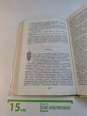 Анжелика в новом свете. Книга 6
