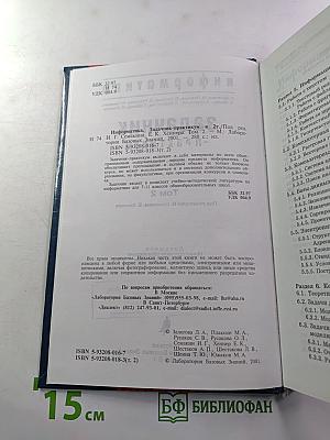 Информатика. Задачник-практикум. Том 2