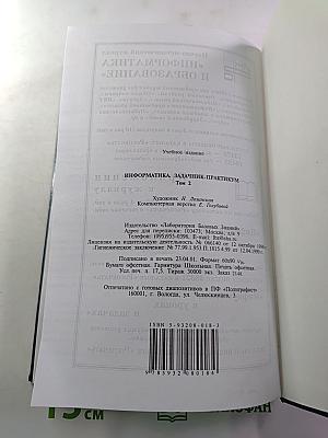 Информатика. Задачник-практикум. Том 2