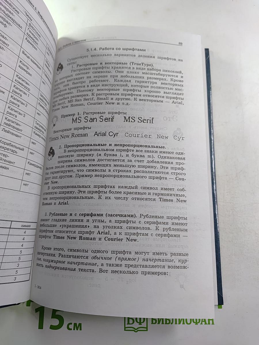 Информатика. Задачник-практикум. Том 2