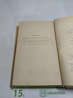 Одиссея капитана Блада. Хроника капитана Блада