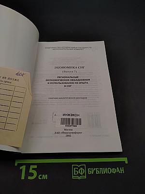 Экономика СНГ: Региональные экономические объединения и использование их опыта в СНГ