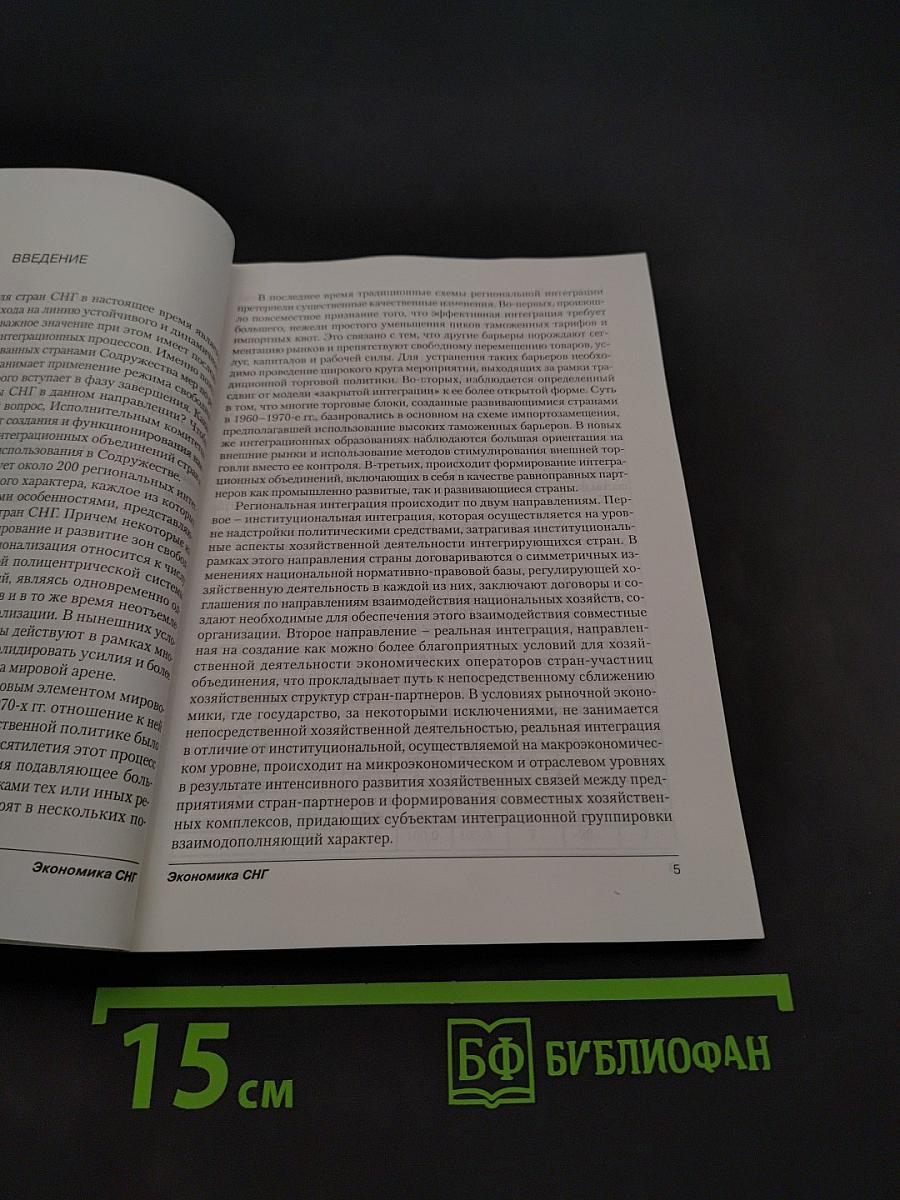 Экономика СНГ: Региональные экономические объединения и использование их опыта в СНГ