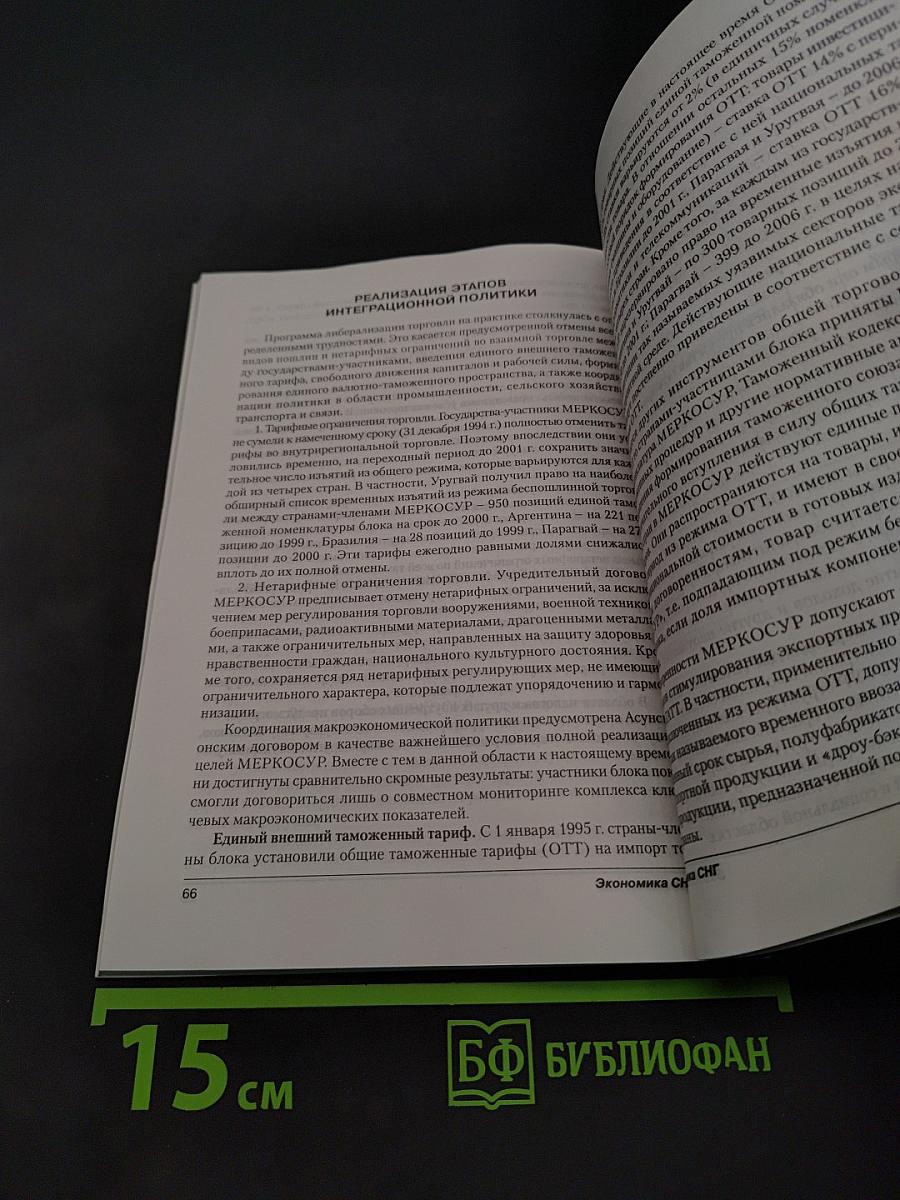 Экономика СНГ: Региональные экономические объединения и использование их опыта в СНГ