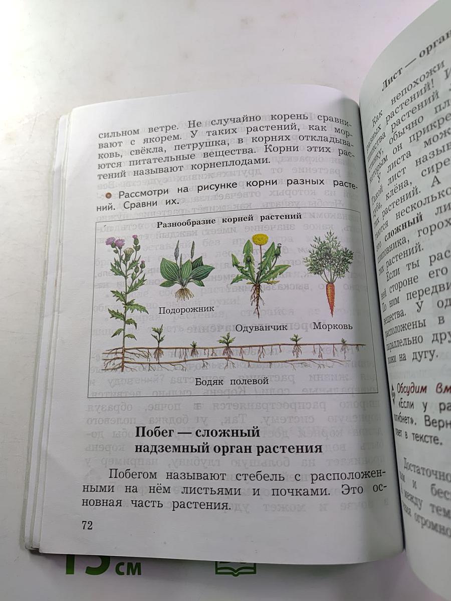 Окружающий мир 3 класс. Часть первая