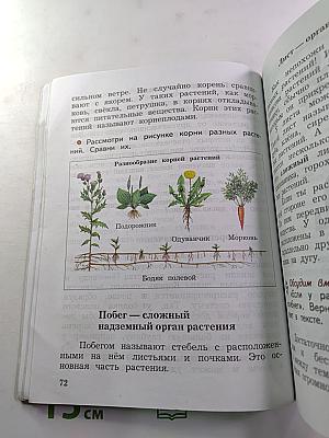 Окружающий мир 3 класс. Часть первая
