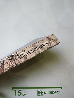 Последний новик