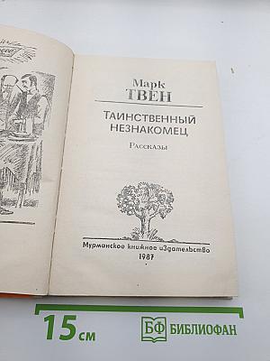 Таинственный незнакомец