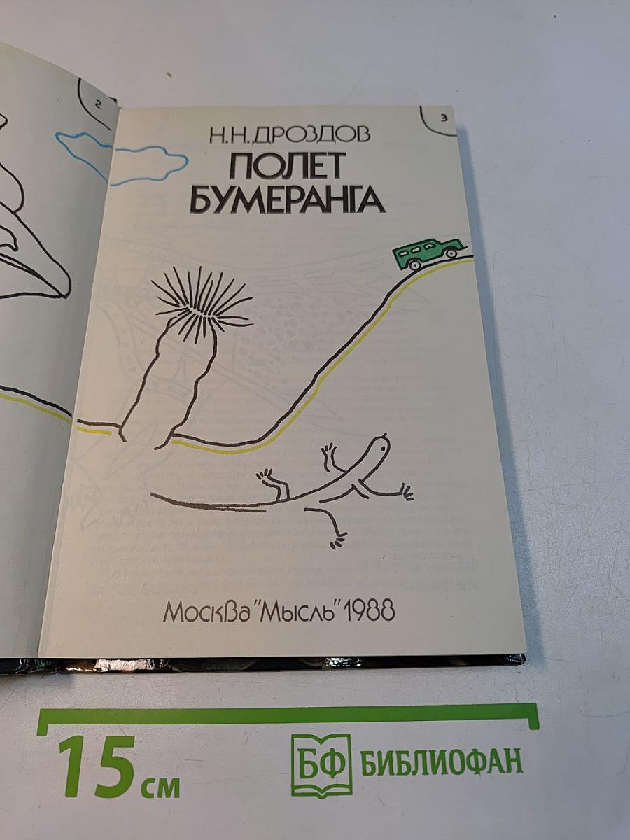Полет бумеранга