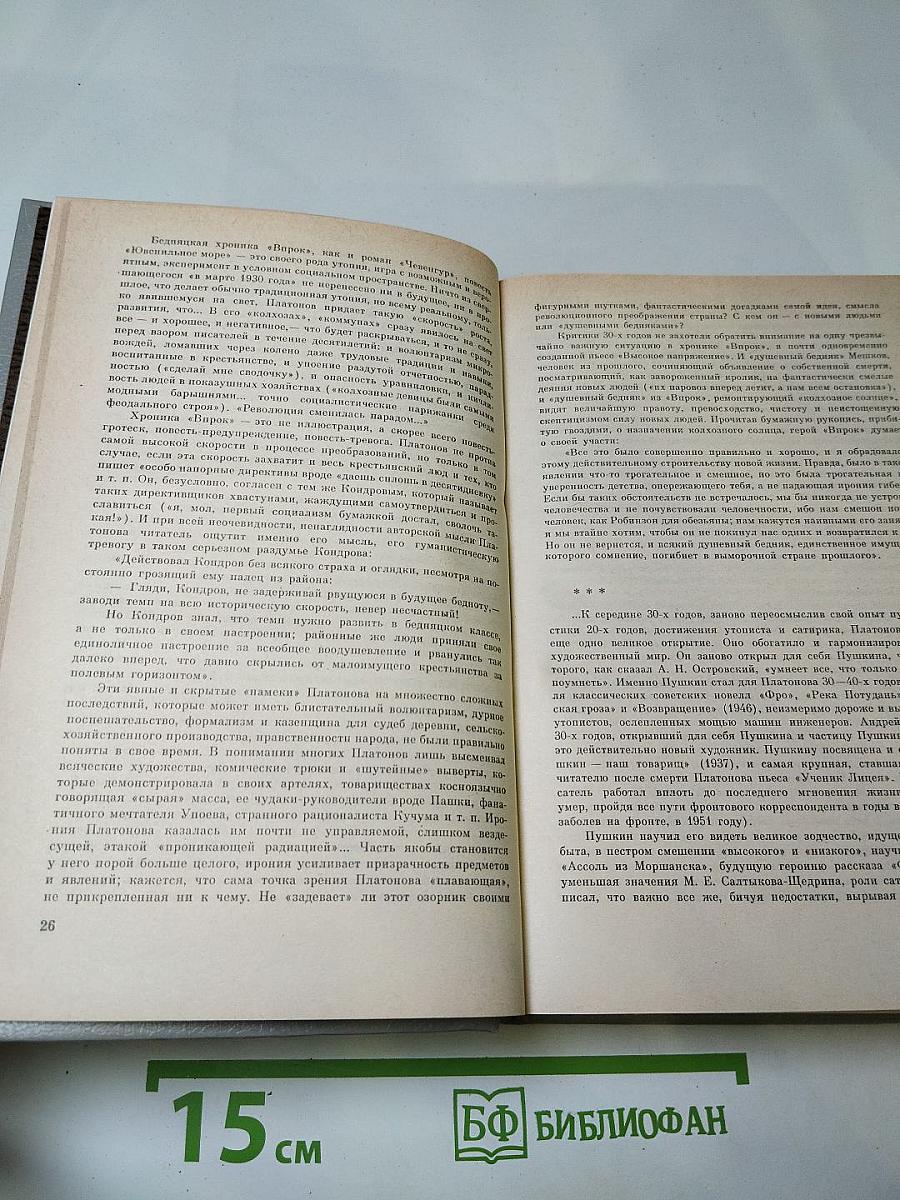 Андрей Платонов. Государственный житель: Проза. Ранние сочинения. Письма