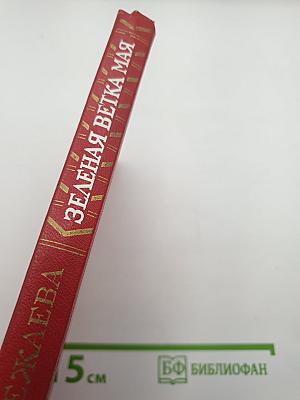 Зеленая ветка мая