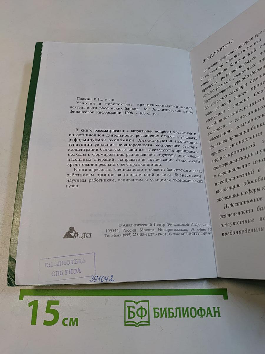 Условия и перспективы кредитно-инвестиционной деятельности российских банков