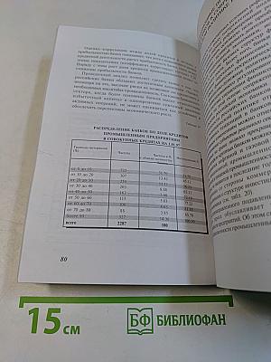 Условия и перспективы кредитно-инвестиционной деятельности российских банков