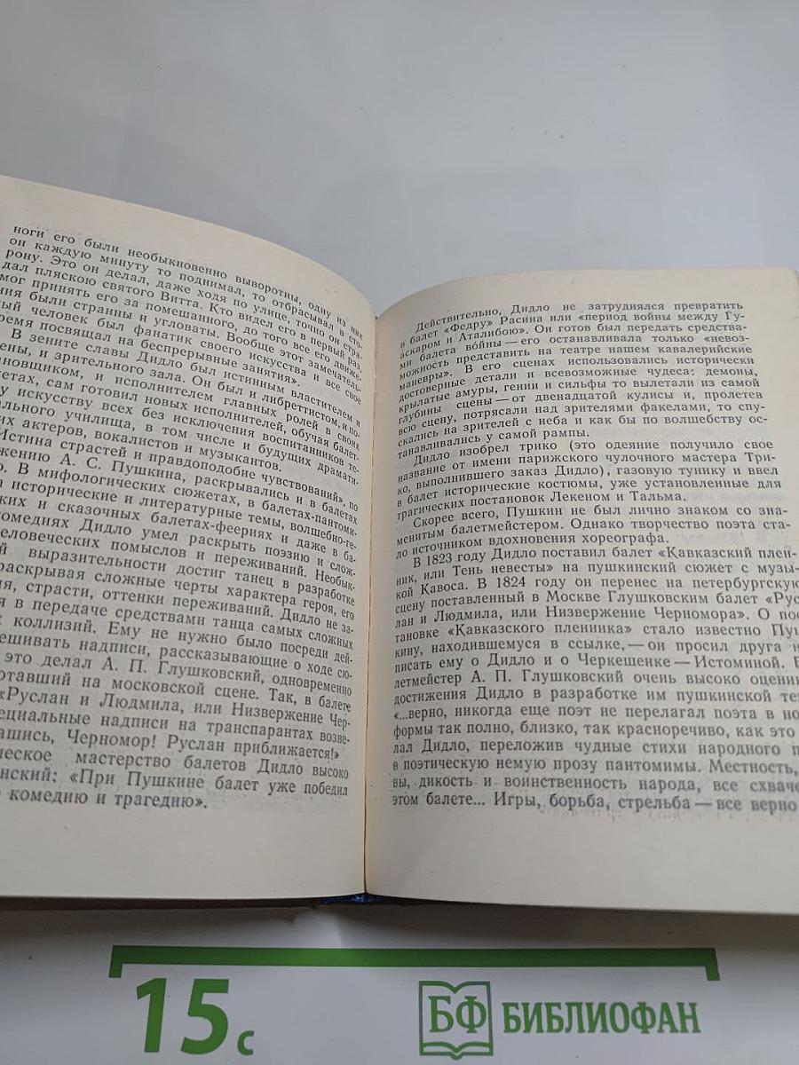 Петербургские встречи Пушкина