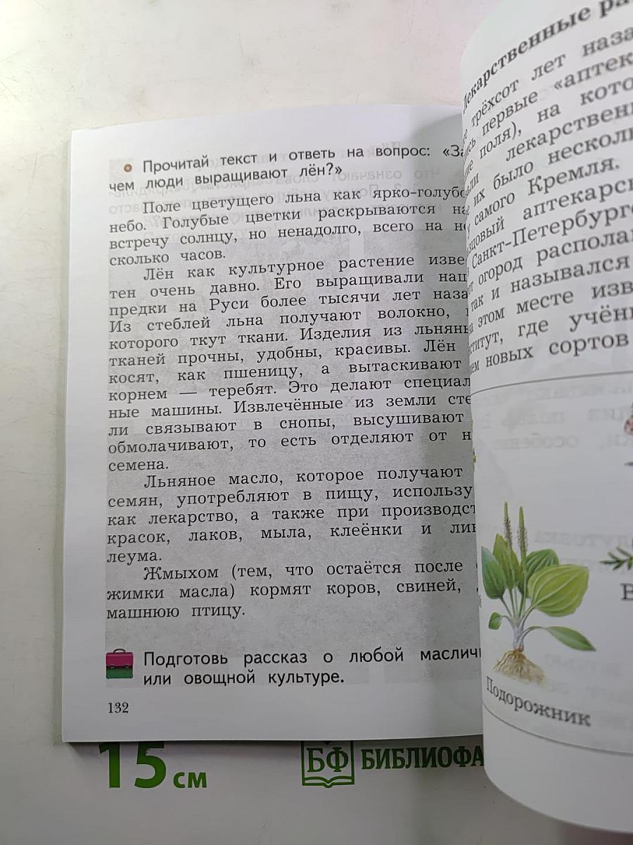 Окружающий мир 2 класс, часть вторая