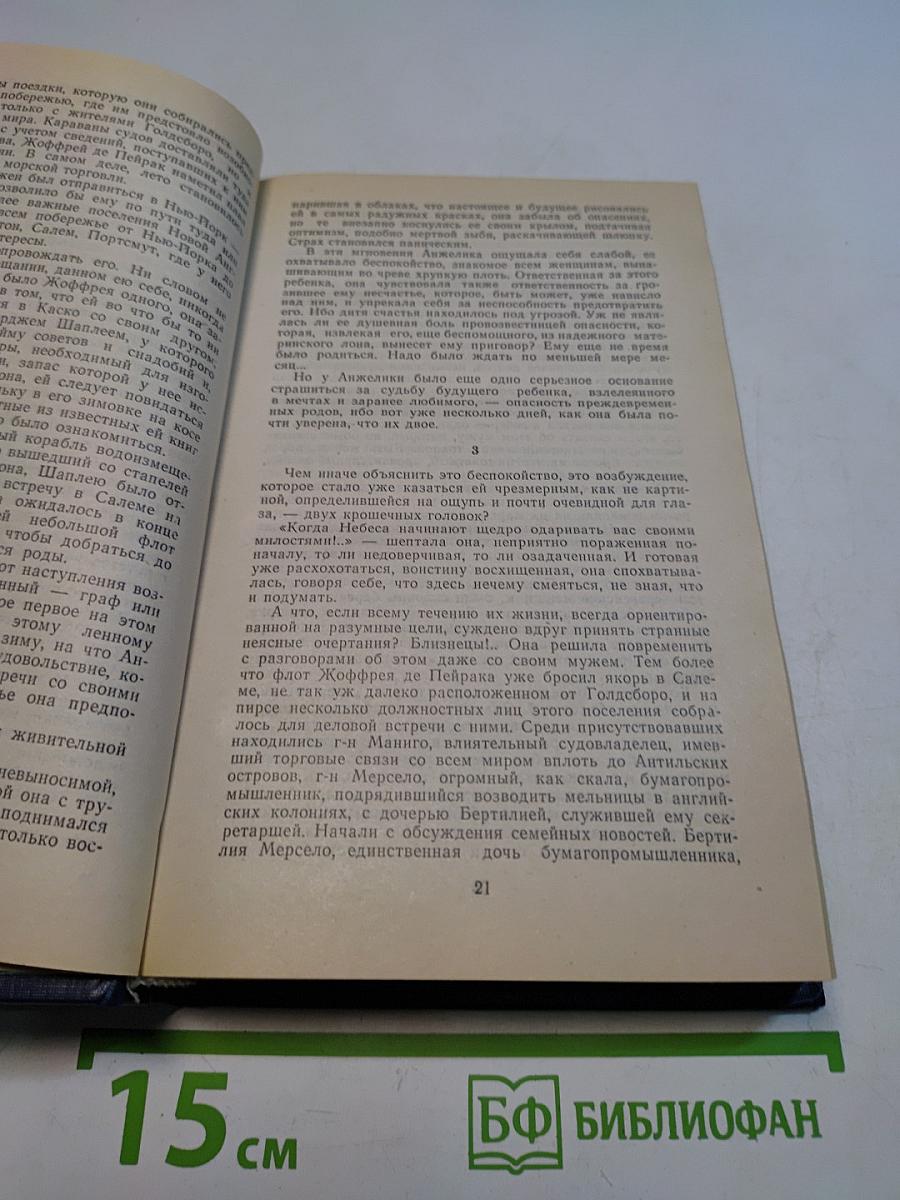 Анжелика. Дорога надежды. Анжелика и ее победа