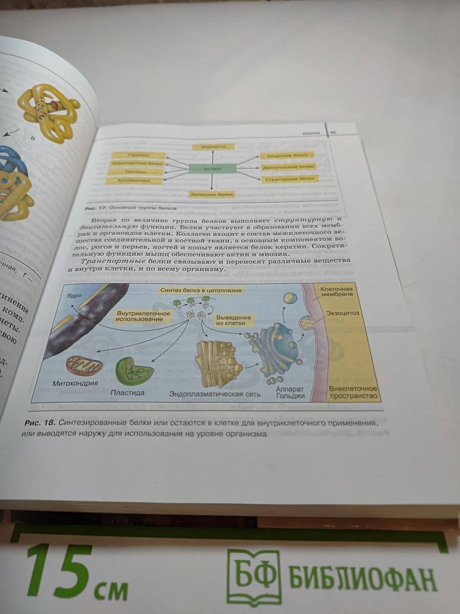 Биология. Общая биология. Базовый уровень. 10-11 классы