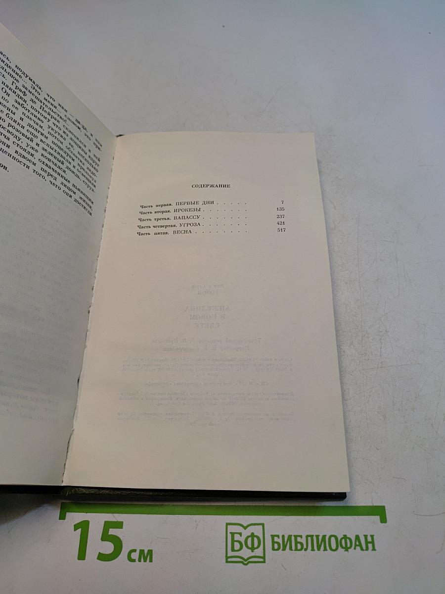 Анжелика в Новом Свете