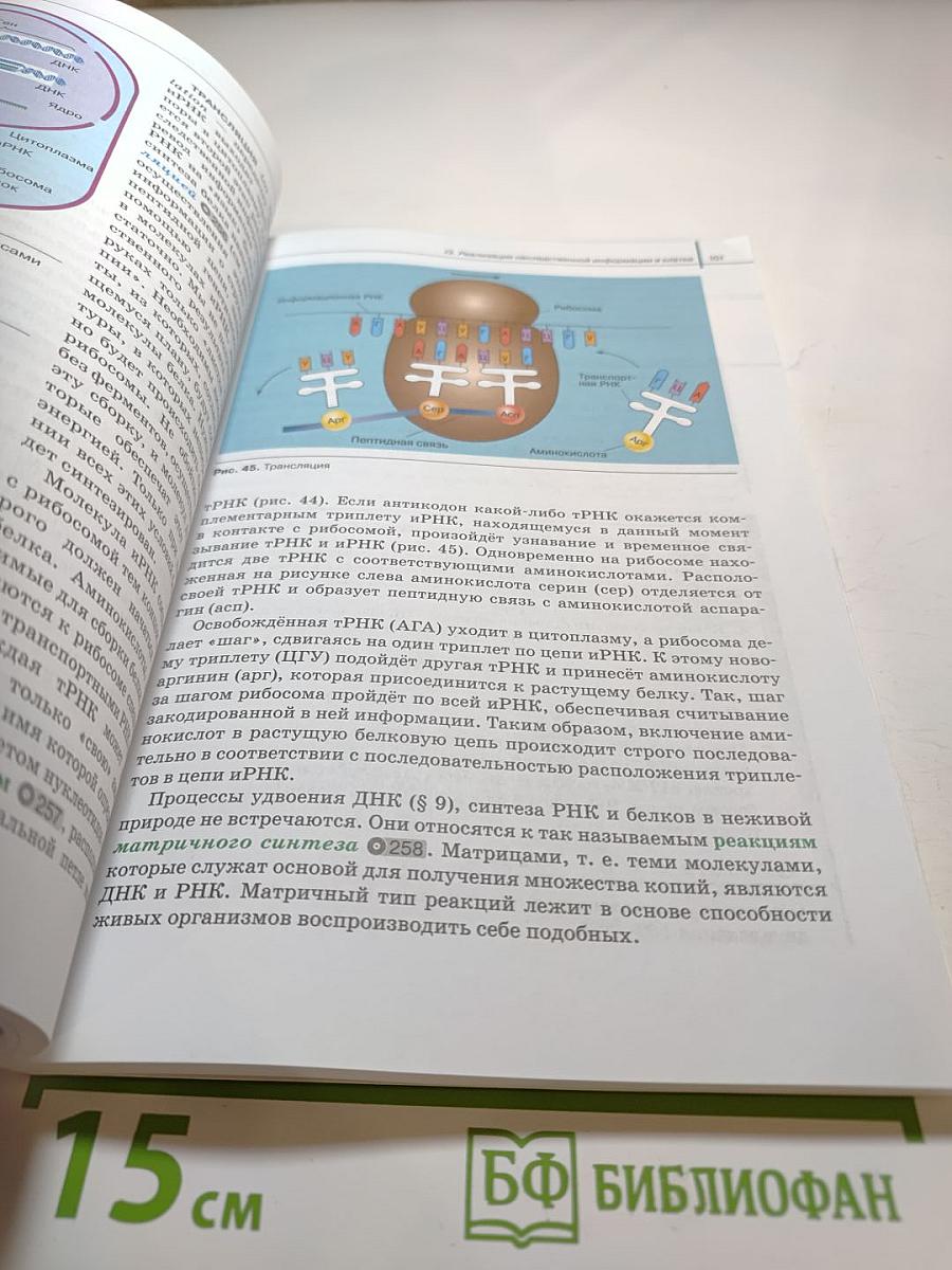 Биология. Базовый и углублённый уровни. 10 класс