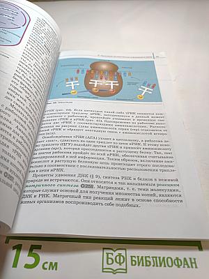 Биология. Базовый и углублённый уровни. 10 класс