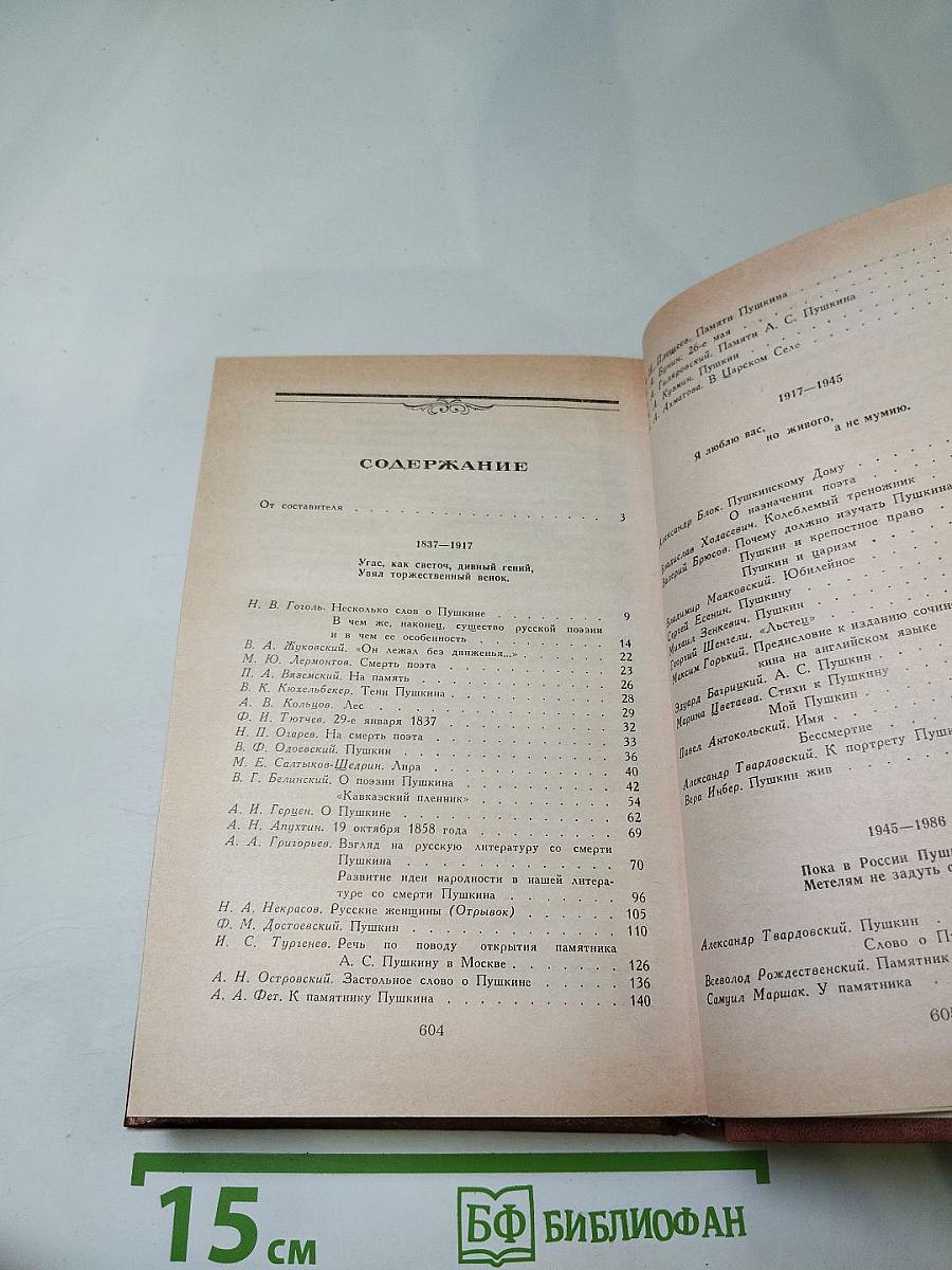 Светлое имя Пушкин