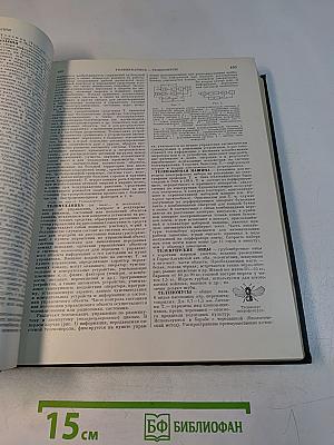 Малая Советская Энциклопедия. Том 9. Сферосомы — Хайфон