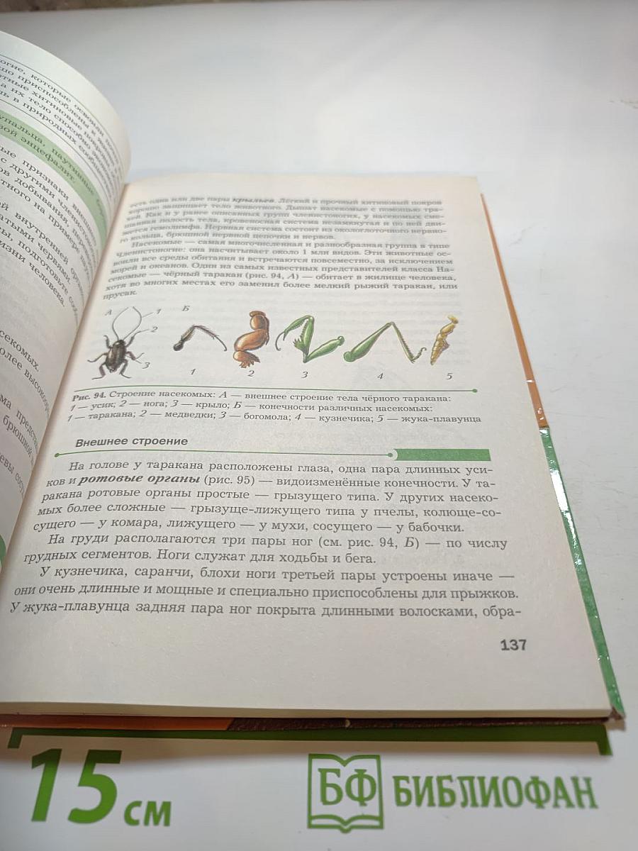 Биология 8 класс