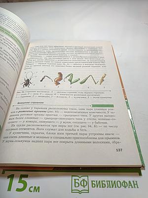 Биология 8 класс