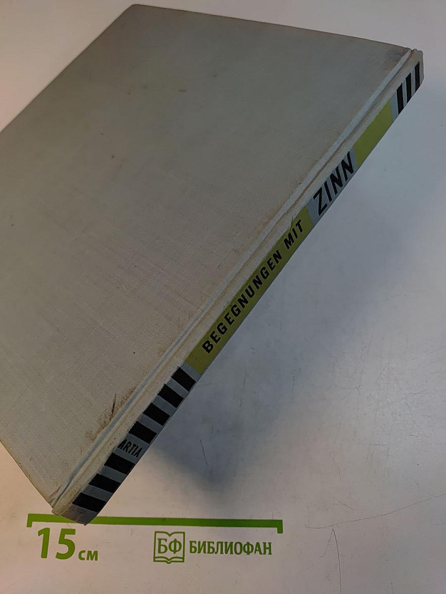 Begegnungen mit Zinn