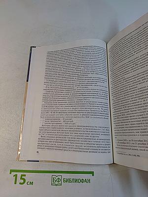 Аудит для магистров. Практический аудит
