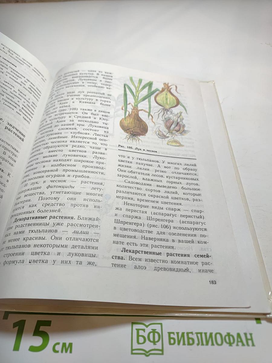 Биология. Растения, бактерии, грибы, лишайники для 6-7 классов