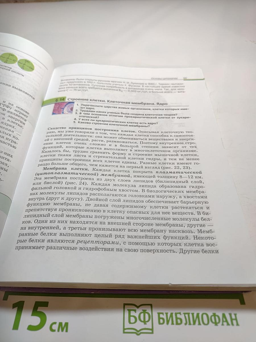 Биология. Общая биология. 10-11 классы