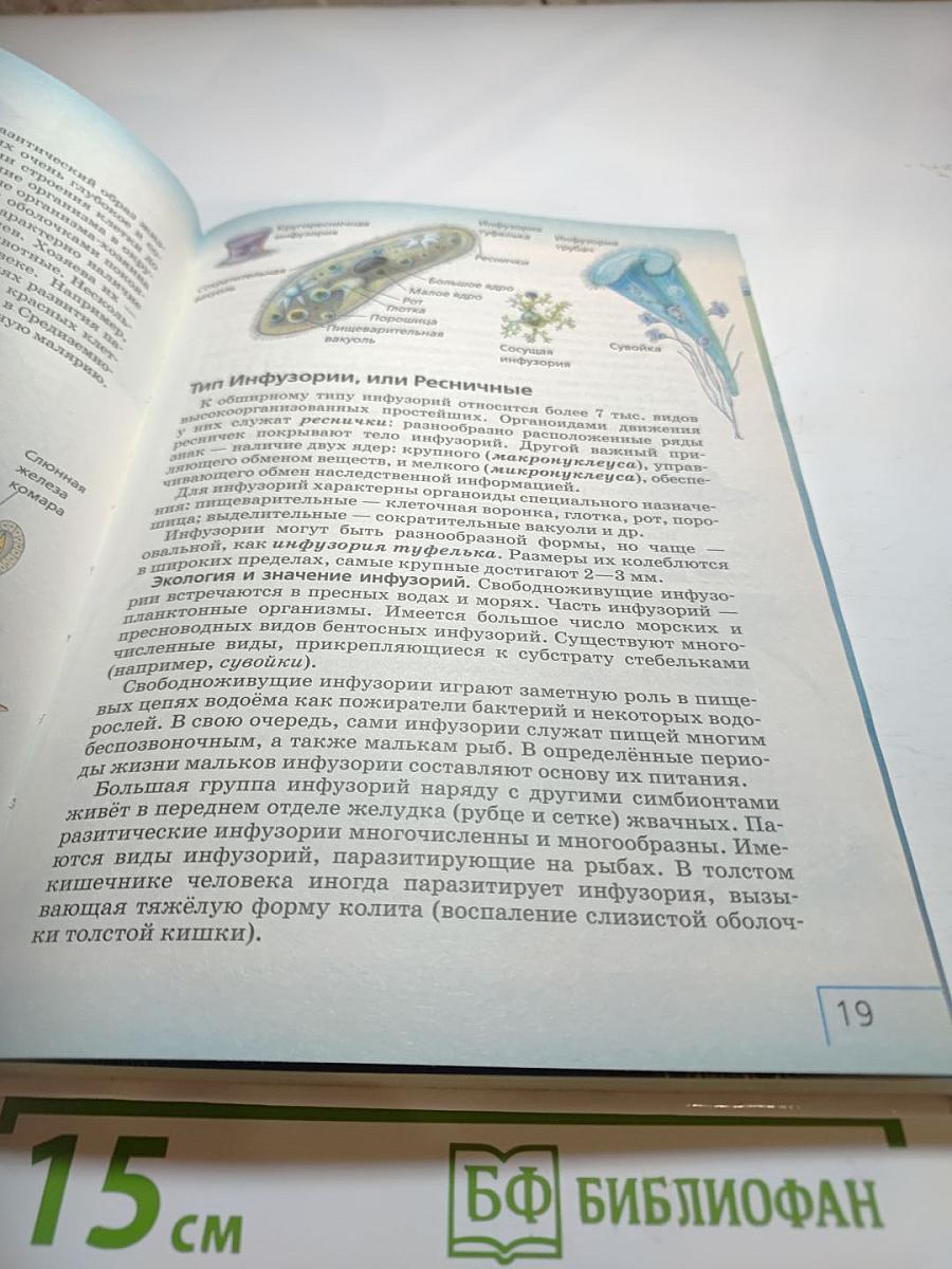 Биология. Многообразие живых организмов. Животные. 8 класс